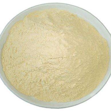 Health Supplement Good Quality Selenium Enriched Yeast Extracts for Enhance Immunity