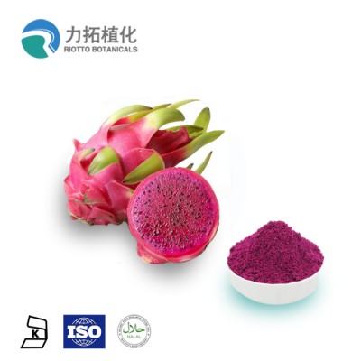 High quality100% Natural  freeze dried pink pitaya/ dragon fruit powder