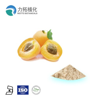 100% Natural Pure Loquat Powder Loquat fruit powder