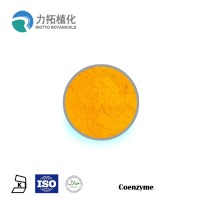 High quality antioxidant Coenzyme Q10 powder/Ubiquinol 303-98-0