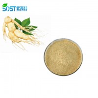 High Quality Ginseng Powder 100% Soluble in Water Panax Ginseng Extract