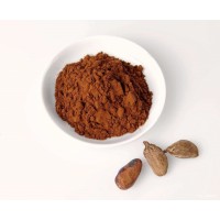 High quality Pure Natural Cocoa powder for icecream