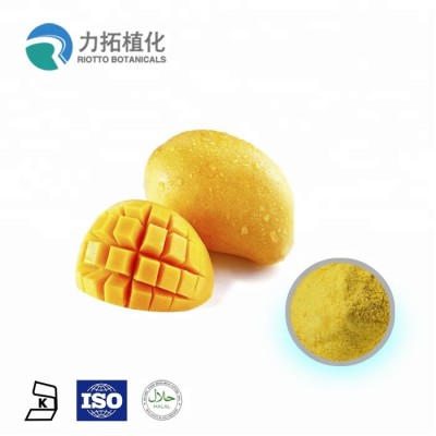 100% Mango powder Freeze-Dried Powder mango juice powder