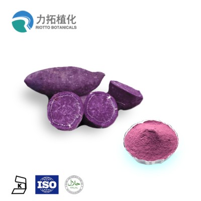 Purple sweet potato freeze-dried powder freeze dried purple yam