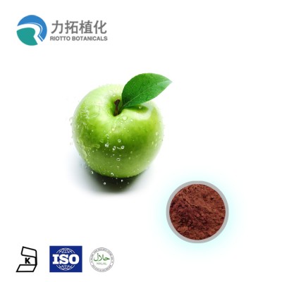 Factory Supply Natural Apple Extract Powder apple polyphenol10%- 70%